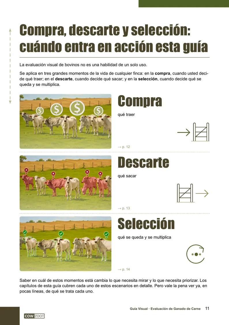 Página 11 de la guía: compra, descarte y selección