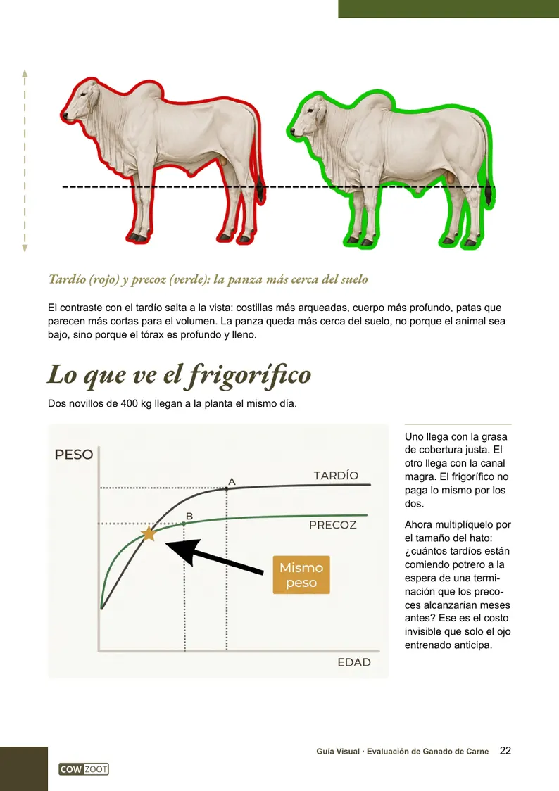 Página 22 de la guía: lo que ve el frigorífico