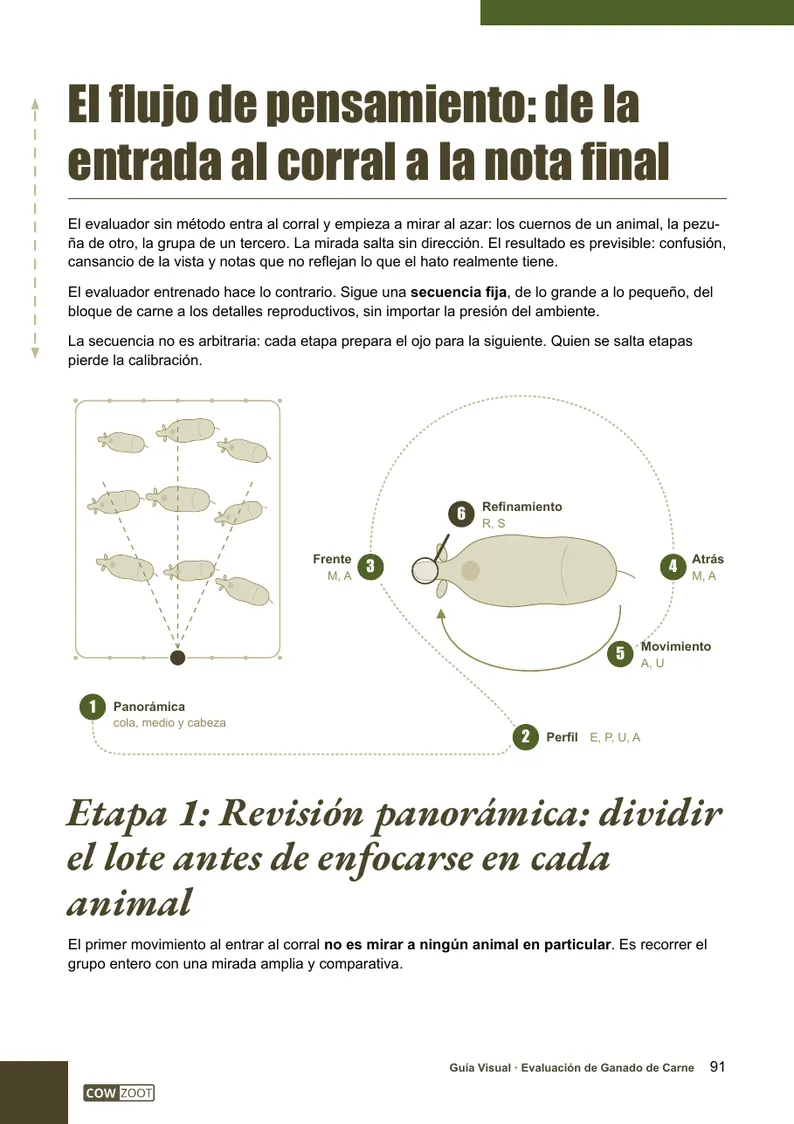 Página 91 de la guía: el flujo en el corral