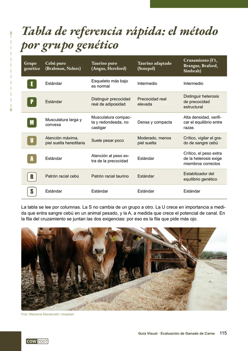 Página 115 de la guía: tabla de referencia rápida